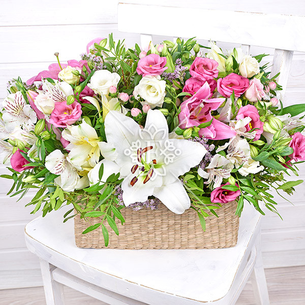 Изысканная аристократка